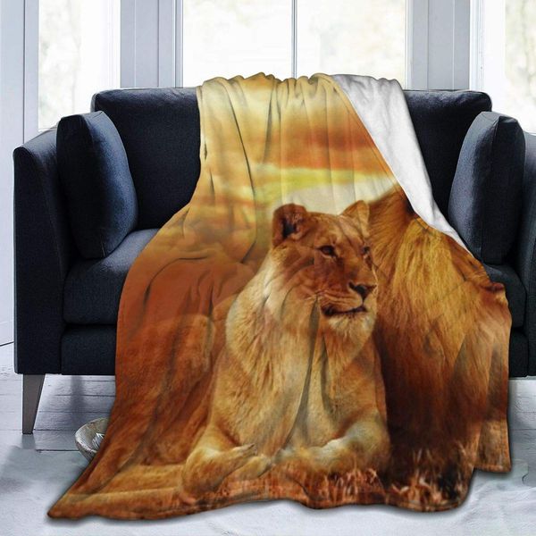 

Ultra-Soft Micro Fleece Blanket,Landscape Nature Sunset Dusk Wildlife Africa Lion,Home Decor Warm Throw Blanket for Couch