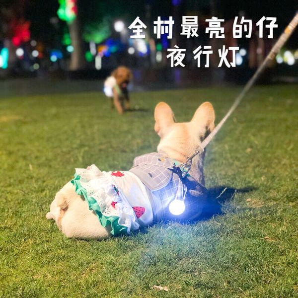 

pet led luminous pendant anti stray dog walking outdoor flashing small light dog tag night 1psx