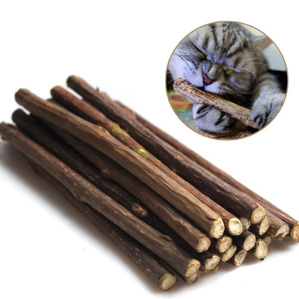 

cat toys cleaning teeth natural catnip pet molar toothpaste stick matatabi actinidia fruit silvervine sticks