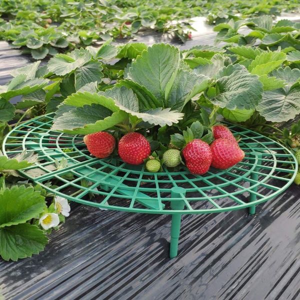 

5pc strawberry plant growing supports keep strawberries off rot in the rainy days plastic removable planters & pots