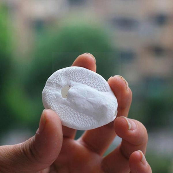 

decorations urchin shell natural conch white small decoration tank fish k7o m8j1