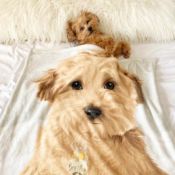 

blankets custom pet portrait blanket, dog gift, cat present, customized blanket