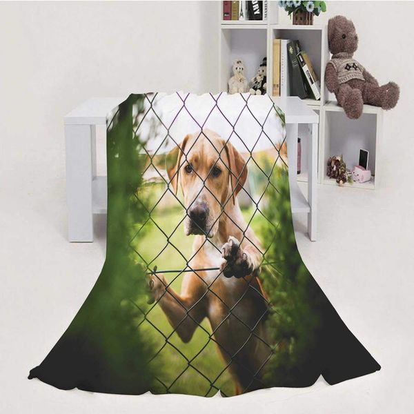 

Behind The Fence,House Flannel Throw Microfiber Blanket 50''x60''(WxL)