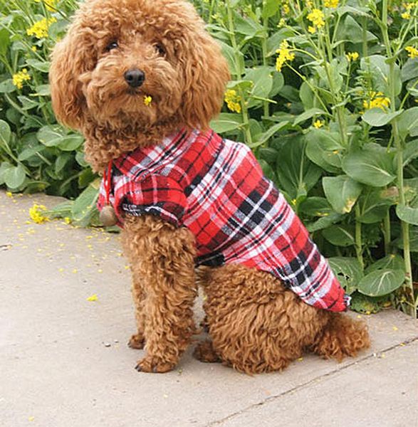 

dog apparel pet shirt cloth puppy costumes coat spring summer autumn clothes for small medium dogs teddy chihuahua pomeranian