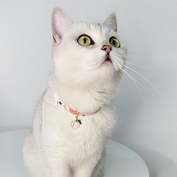 

cat collars & leads safety breakaway kitten neck ring adjustable universal pets strap necklace with bell for fruit pendant