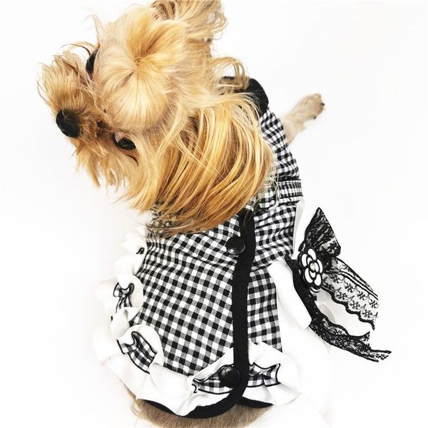 

dog apparel 2021 original autumn winter fragrance pet clothes elegant skirt hat cat out traction