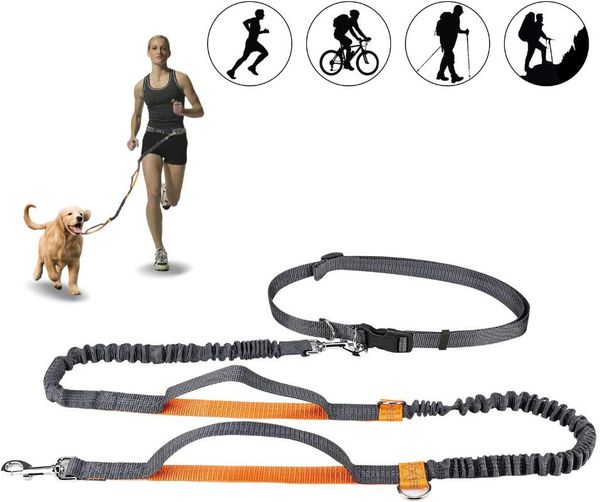 

dog collars & leashes leash hands for pet running walking dogs harness collar jogging lead adjustable waist traction belt rope
