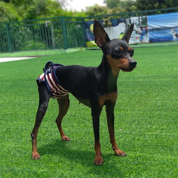 

dog apparel pet striped physiological pants menstrual anti-harassment clothes