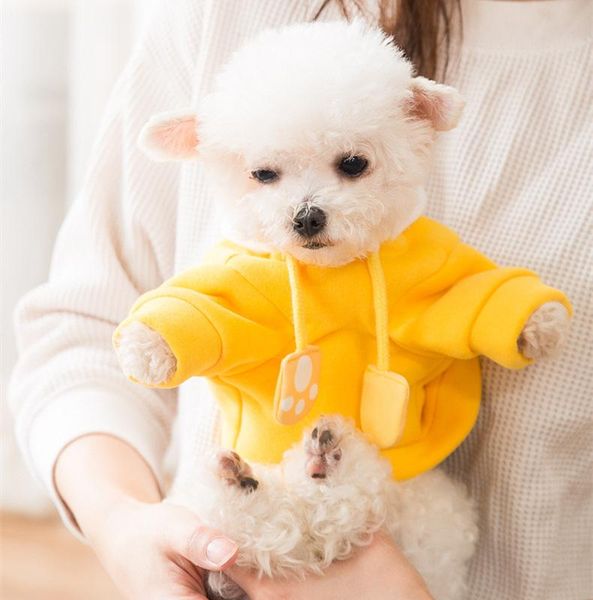 

new autumn and winter dog coats & jackets dog hat sweater small cat two legged clothes cartoon bear hooded pet cat clothes