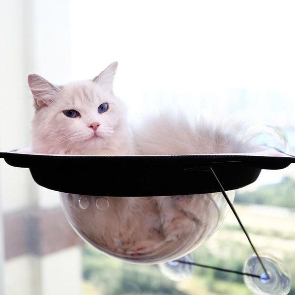 

cat litter suction cup hanging for cats four seasons universal window space hammock beds & furniture