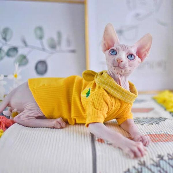 

cat costumes pineapple summer hairless apparel naked fashion sphinx kitty wearing comfort sphynx clothes comfortable and soft