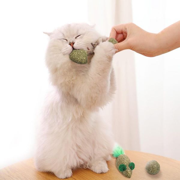 

cat mint ball natural catnip molar chew stick teeth cleaning kitten pet treat snack toy fish shaped toys