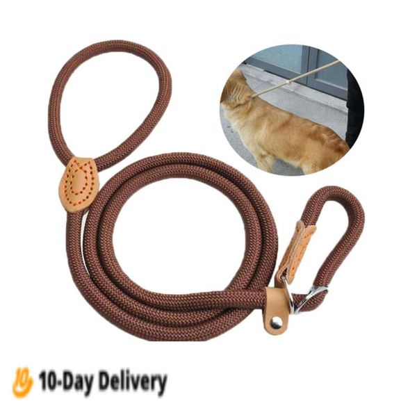 

dog collars & leashes lead leash nylon adjustable laisse chien durable rope belt lightweight supplies walking training correa perro