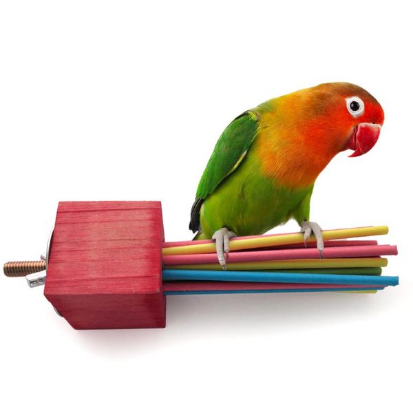 

other bird supplies lollipop stick toy funny parrot tearing perch bite playstand exercise accessories