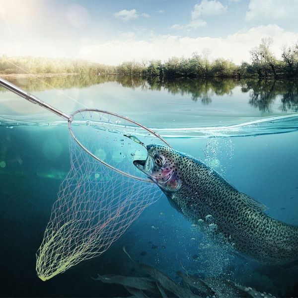 

fishing accessories 1 set of fish landing net stainless steel outdoor tackle