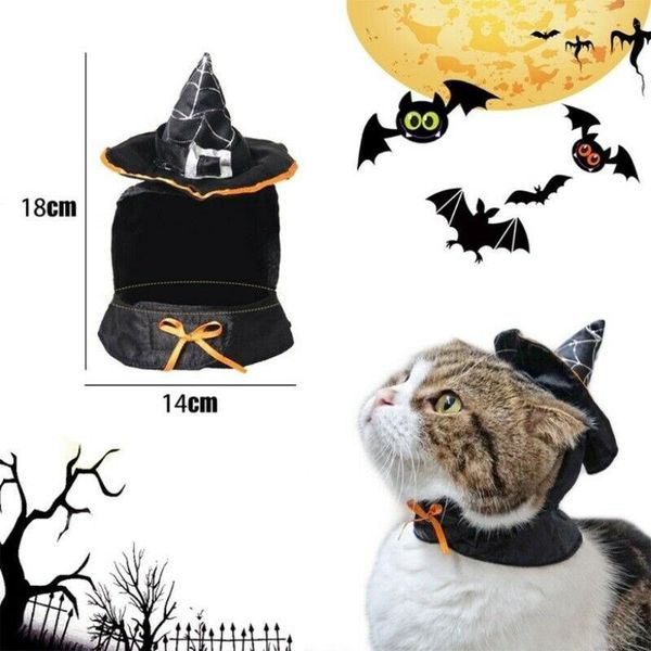 

dog apparel cat halloween magic wizards costumes pet cosplay funny clothing supplies small witch hat wizard cap