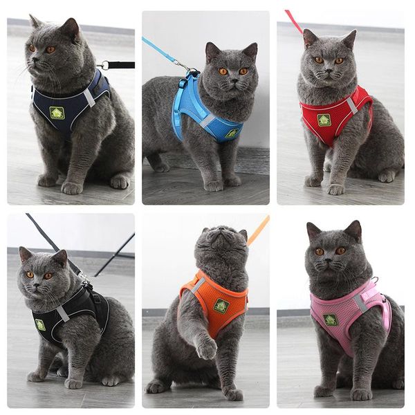 

cat collars & leads harness and leash set breathable mesh puppy dog vest adjustable reflective pet for small medium