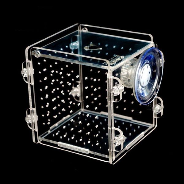 

aquariums 2pcs sucker fry isolation box fish tank acrylic aquarium 8*8*8.8cm