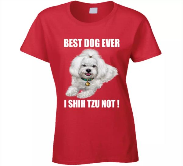 

dog ever i shih tzu not cute breed vector pet dog lovers t shirt new, White;black