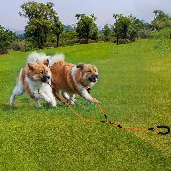

dog collars & leashes reflective two large leash pet lead nylon 1 for 2 medium big dogs double traction rope comfortable foam handle