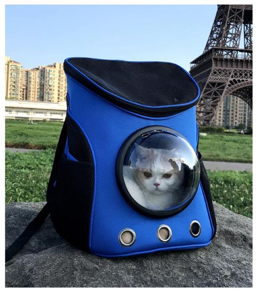 

dog car seat covers 2021 fashion portable astronaut pet carrier travel bag space backpack breathable for cat puppy outdoor play 1 or