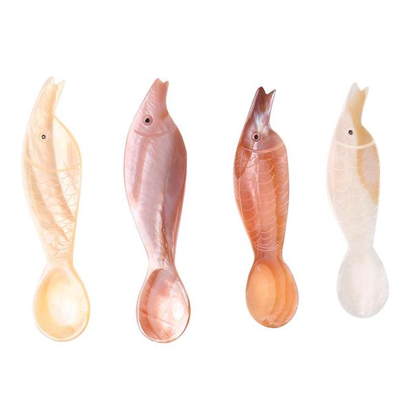 

forks natural conch shell spoon caviar seashells coffee tableware cake desserts