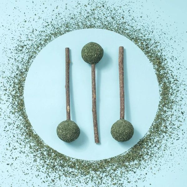 

cat toys buy one get natural mint lollipop shape pet toy molar chew stick teeth cleaning safety health care products