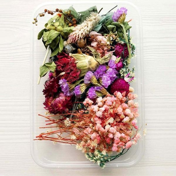 

box natural dried flower dry plants real flowers necklace making accessories epoxy candle jewelry craft t9b0 q8z8 decorative & wreaths