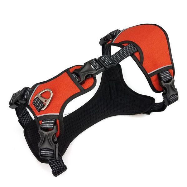 

dog collars & leashes