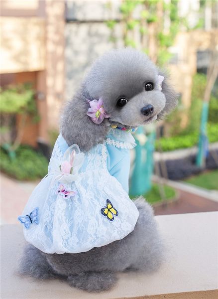 

special golden crown baby pet products autumn cloth dog