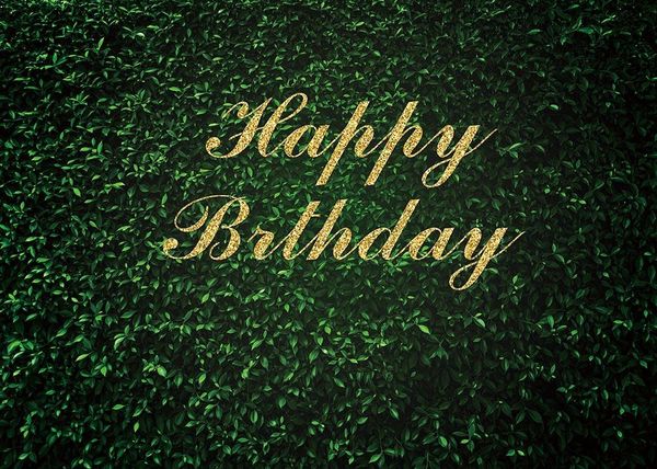 

party decoration green leaf background birthday banner golden happy pography supplies
