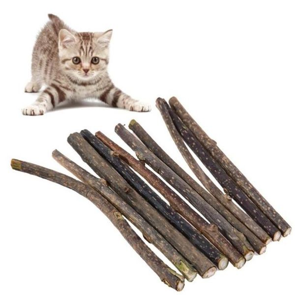 

cat toys 10pcs molar toothpaste stick natural catnip matatabi actinidia fruit silvervine wood polygonum pet cleaning teeth