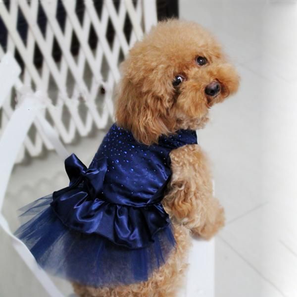 

dog apparel puppy wedding party lace dress clothes bow tutu princess pet large