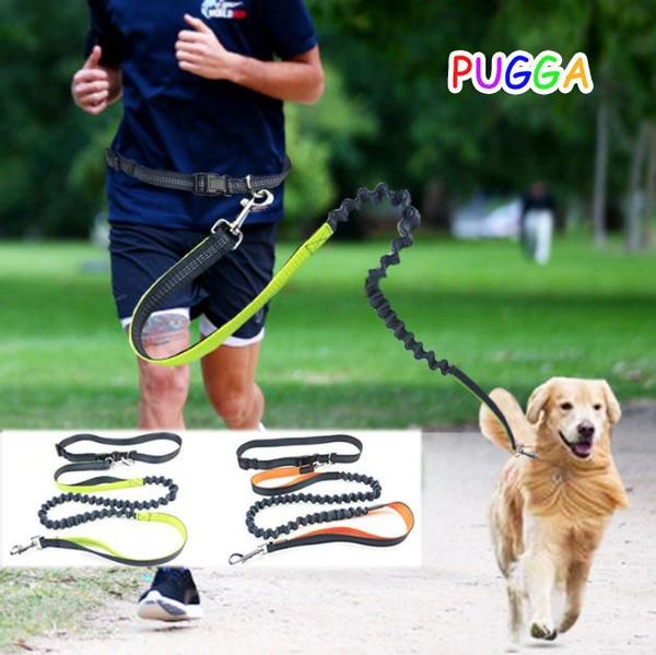 

adjustable waist pet dog leash running jogging puppy lead walking green orange pink blue collars & leashes