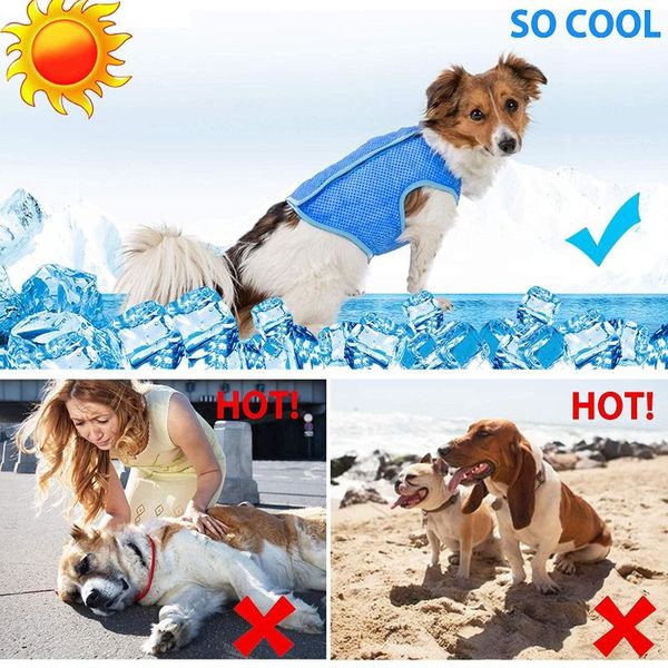 

dog apparel summer cooling vest coats swamp cooler lightweight breathable elastic reduce heat pet clothes adjustable products s/
