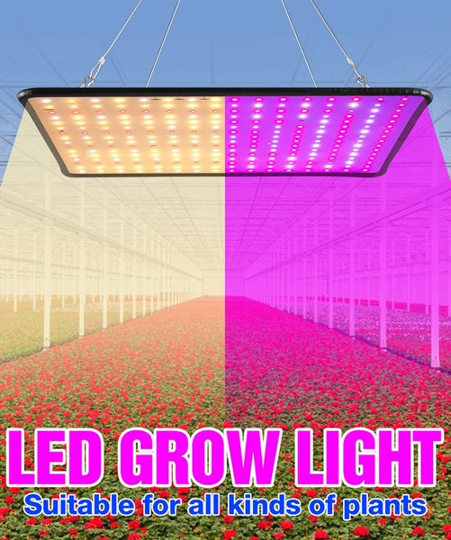 LED Coltiva La Luce Lampade a Spettro Completo Phyto Bulbo Lampada per La Crescita Delle Piante Luci Idroponiche Tenda per Semi di Fiori 85-265V