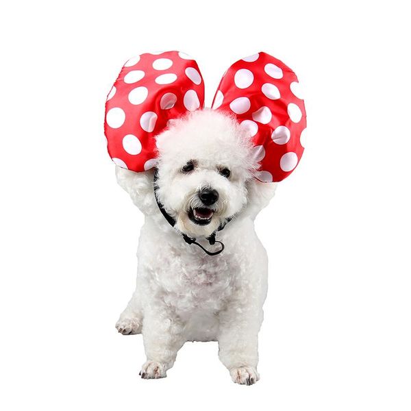 

dog apparel pet cute dot bow princess cat hat