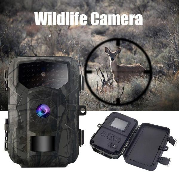 

hunting cameras wildlife camera outdoor trail with infrared night vision scientific research timer video po strap data
