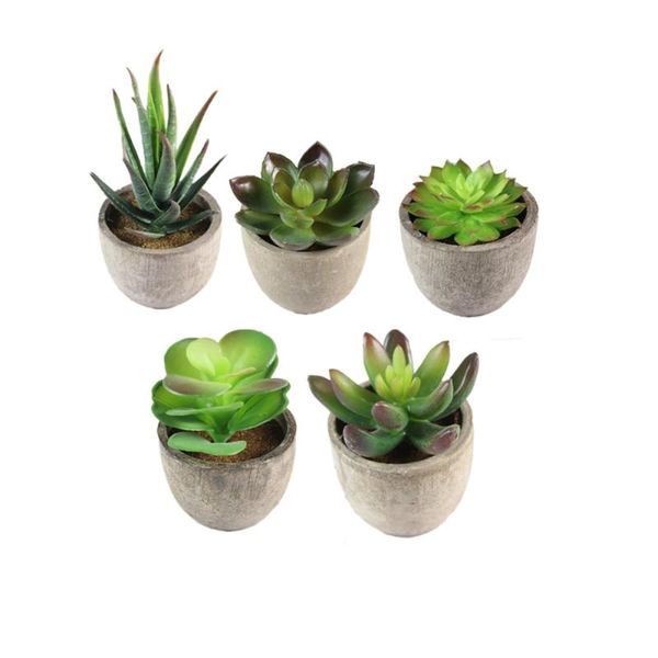 

decorative objects & figurines 5pcs simulation bonsai plastic artificial small plants reeds encrinite succulents ornament for home shelf des