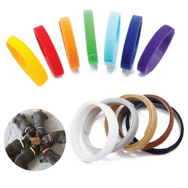 

dog collars & leashes 12pcs/lot id puppy kitten whelping identification collar bands for small pet supplies 20*1cm