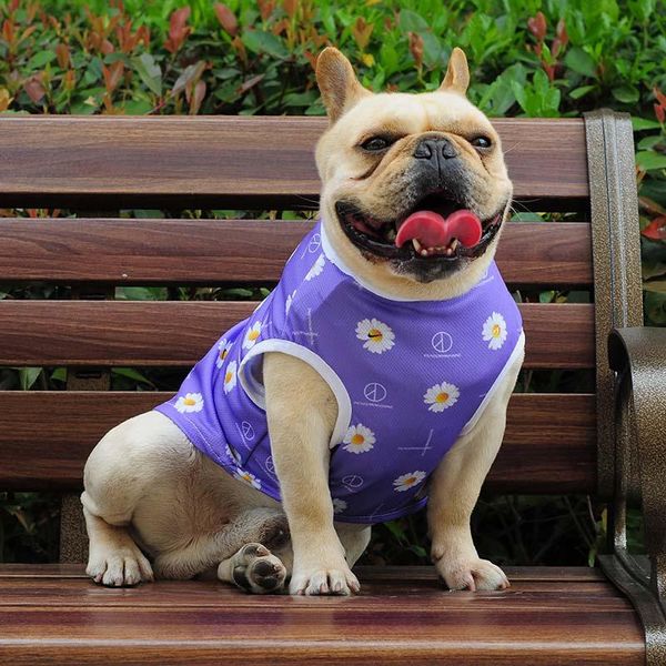 

dog apparel fashionable clothes purple net red with the same daisy vest summer cool and breathable small pet