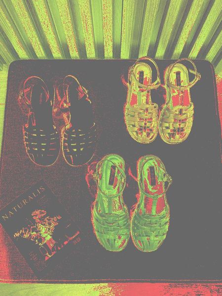 

sandals low woman leather buckle strap suit female beige shoes lady 2021 breathable summer heels all-match low-heeled black flat