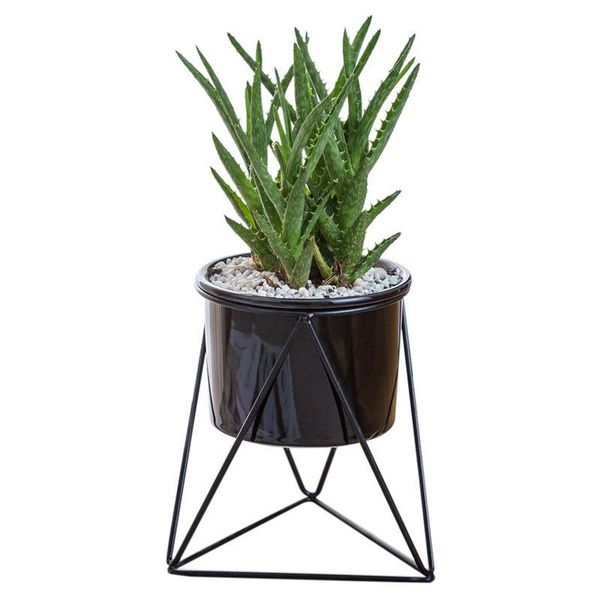 

decorative flowers & wreaths planter pots indoor 6 inch modern garden ceramic round bowl with metal air plant stand for succulent cactus (bl