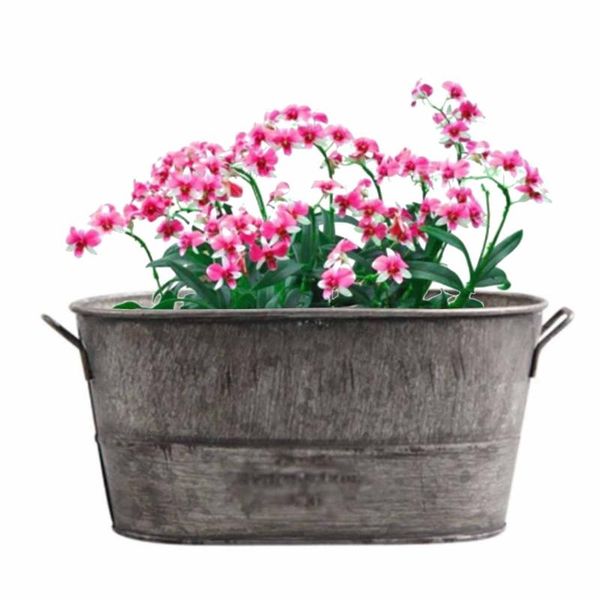 

planters & pots garden plant pot decorative vintage succulent planter zinc coat bucket boxes flower barrel patio yard gardening home