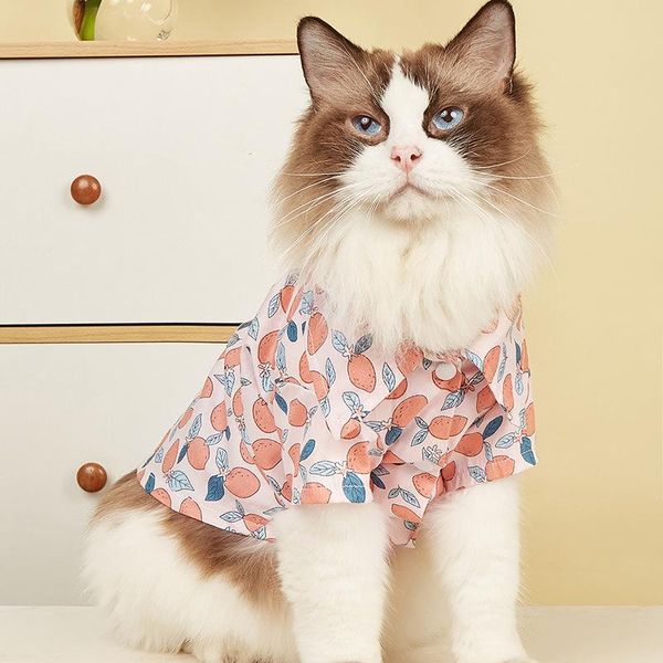 

dog apparel cats shirts full fruit printed t-shirt for small cat summer comfortable pet clothing cotton breathable thin and light cloth