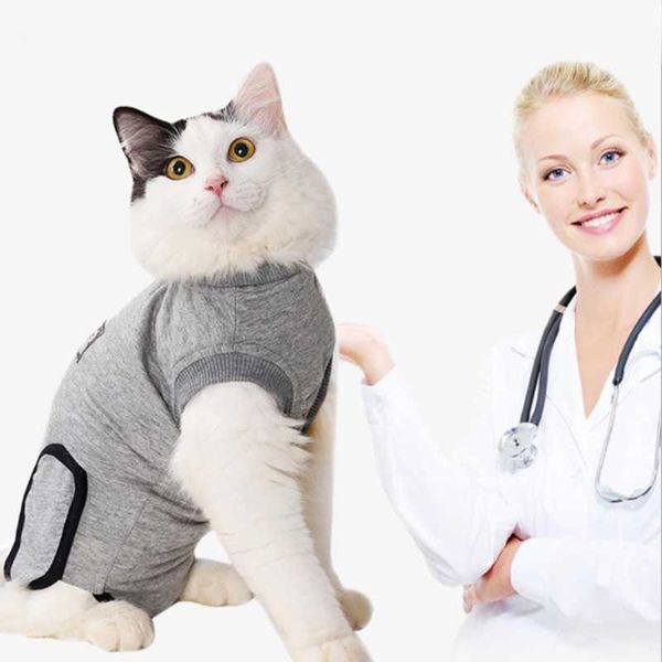 

cat costumes recovery suit after