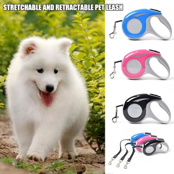 

dog collars & leashes walking leash retractable durable perfect for small medium dogs under 10kg supplies @ls