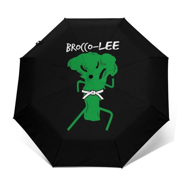 

umbrellas bruce lee umbrella uv protection outdoor beautiful auto art folding