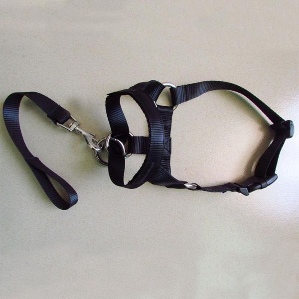 

dog collars & leashes training halter gentle leash no pull anti bite adjustable head collar durable pet traction rope outdoor practical nylo