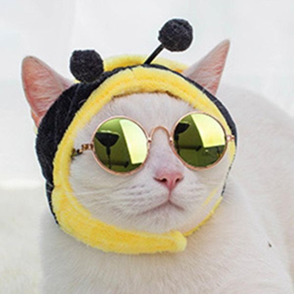 

cat costumes soft and cute headwear dog cross dress small animals pet hat cosplay clothes accessories